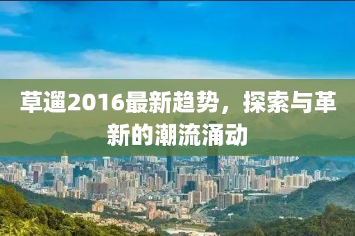 草遛2016最新趨勢(shì)，探索與革新的潮流涌動(dòng)