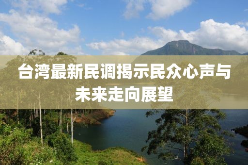 臺(tái)灣最新民調(diào)揭示民眾心聲與未來(lái)走向展望