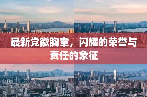 最新黨徽胸章，閃耀的榮譽(yù)與責(zé)任的象征