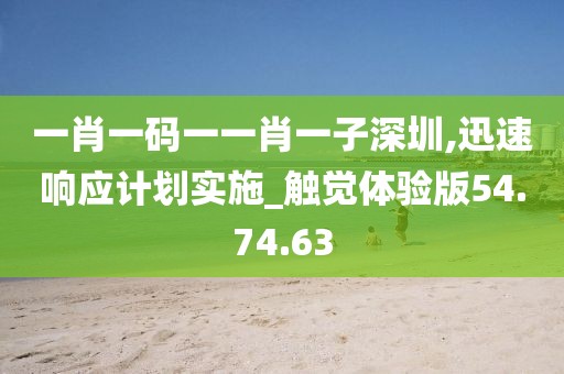 一肖一碼一一肖一子深圳,迅速響應(yīng)計劃實施_觸覺體驗版54.74.63