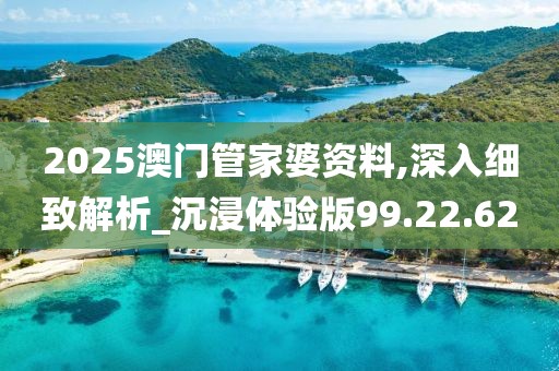 2025澳門管家婆資料,深入細致解析_沉浸體驗版99.22.62