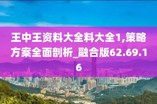 王中王資料大全料大全1,策略方案全面剖析_融合版62.69.16