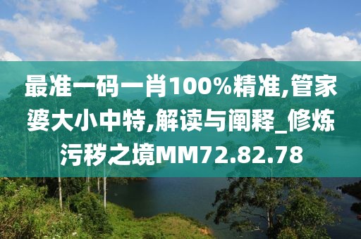 最準(zhǔn)一碼一肖100%精準(zhǔn),管家婆大小中特,解讀與闡釋_修煉污穢之境MM72.82.78