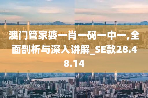 澳門管家婆一肖一碼一中一,全面剖析與深入講解_SE款28.48.14