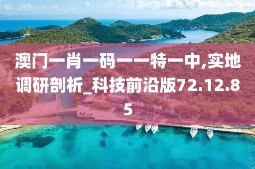 澳門一肖一碼一一特一中,實(shí)地調(diào)研剖析_科技前沿版72.12.85