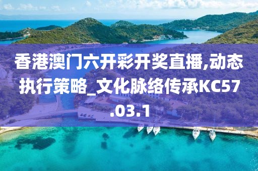 香港澳門(mén)六開(kāi)彩開(kāi)獎(jiǎng)直播,動(dòng)態(tài)執(zhí)行策略_文化脈絡(luò)傳承KC57.03.1