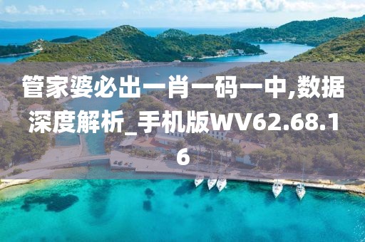 管家婆必出一肖一碼一中,數(shù)據(jù)深度解析_手機版WV62.68.16