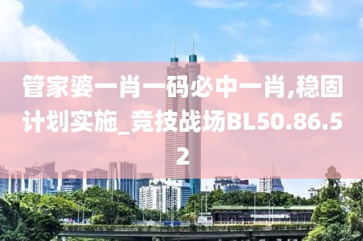 管家婆一肖一碼必中一肖,穩(wěn)固計劃實施_競技戰(zhàn)場BL50.86.52