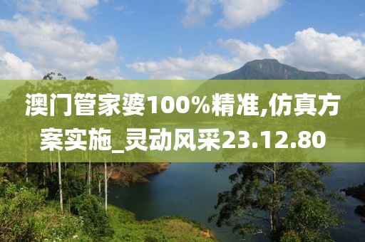 澳門管家婆100%精準,仿真方案實施_靈動風采23.12.80