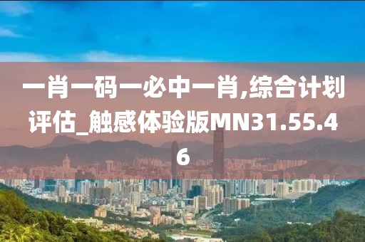 一肖一碼一必中一肖,綜合計劃評估_觸感體驗版MN31.55.46