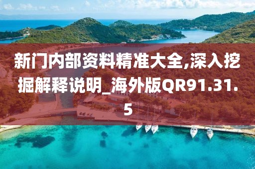 新門內(nèi)部資料精準(zhǔn)大全,深入挖掘解釋說明_海外版QR91.31.5
