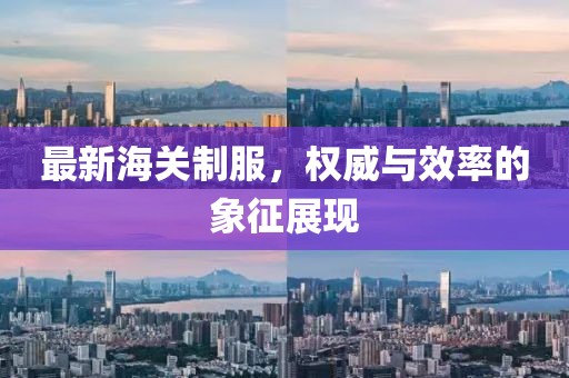 最新海關(guān)制服，權(quán)威與效率的象征展現(xiàn)