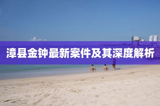 漳縣金鐘最新案件及其深度解析