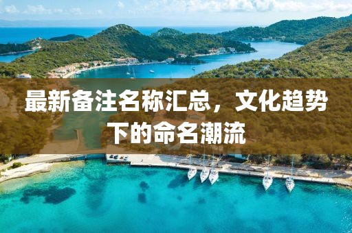 最新備注名稱匯總，文化趨勢下的命名潮流
