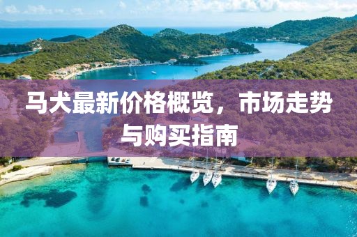 馬犬最新價(jià)格概覽，市場(chǎng)走勢(shì)與購(gòu)買(mǎi)指南