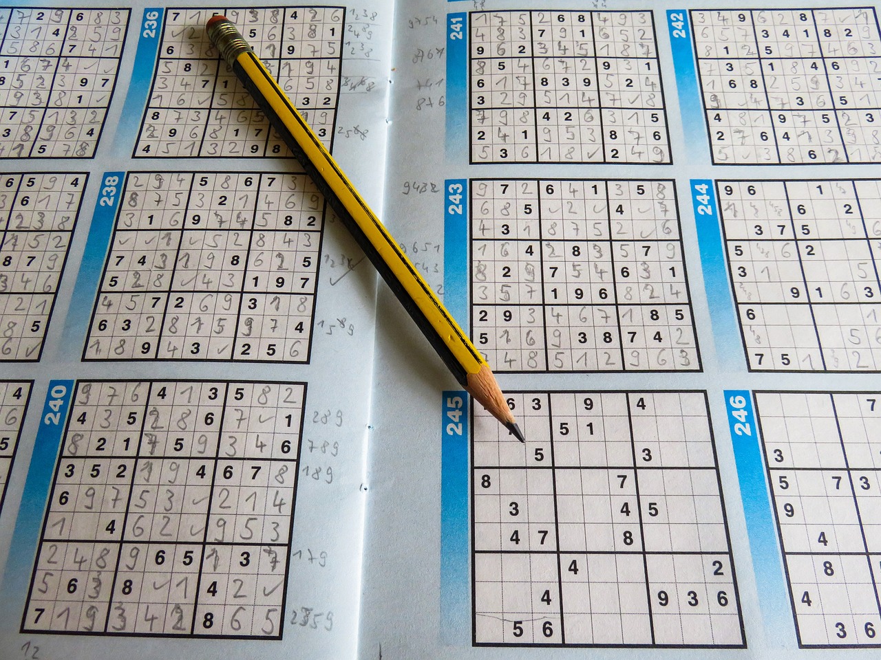 2024香港內(nèi)部最準(zhǔn)資料,全身心解答具體_定義篇HL770.465