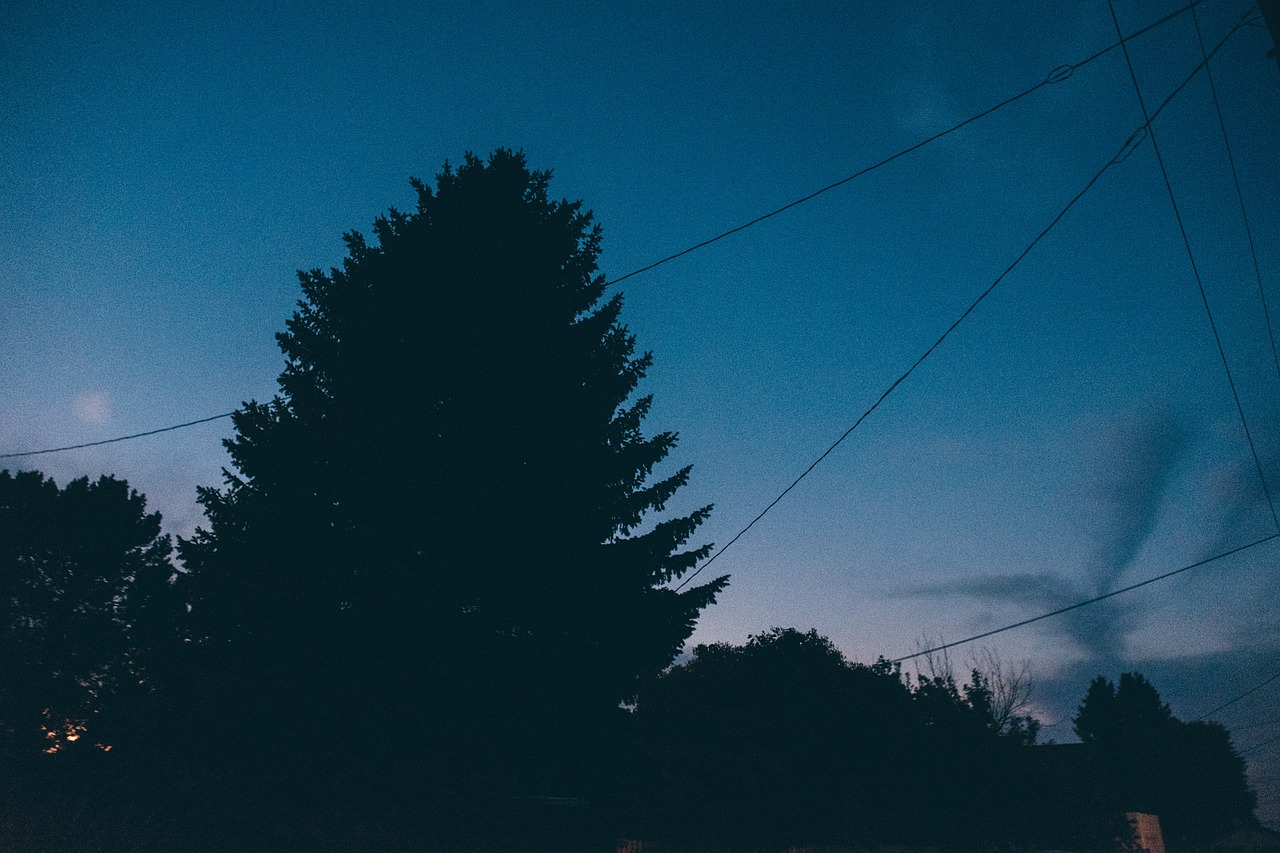 株洲夜歌子，城市夜晚的旋律與獨(dú)特風(fēng)情