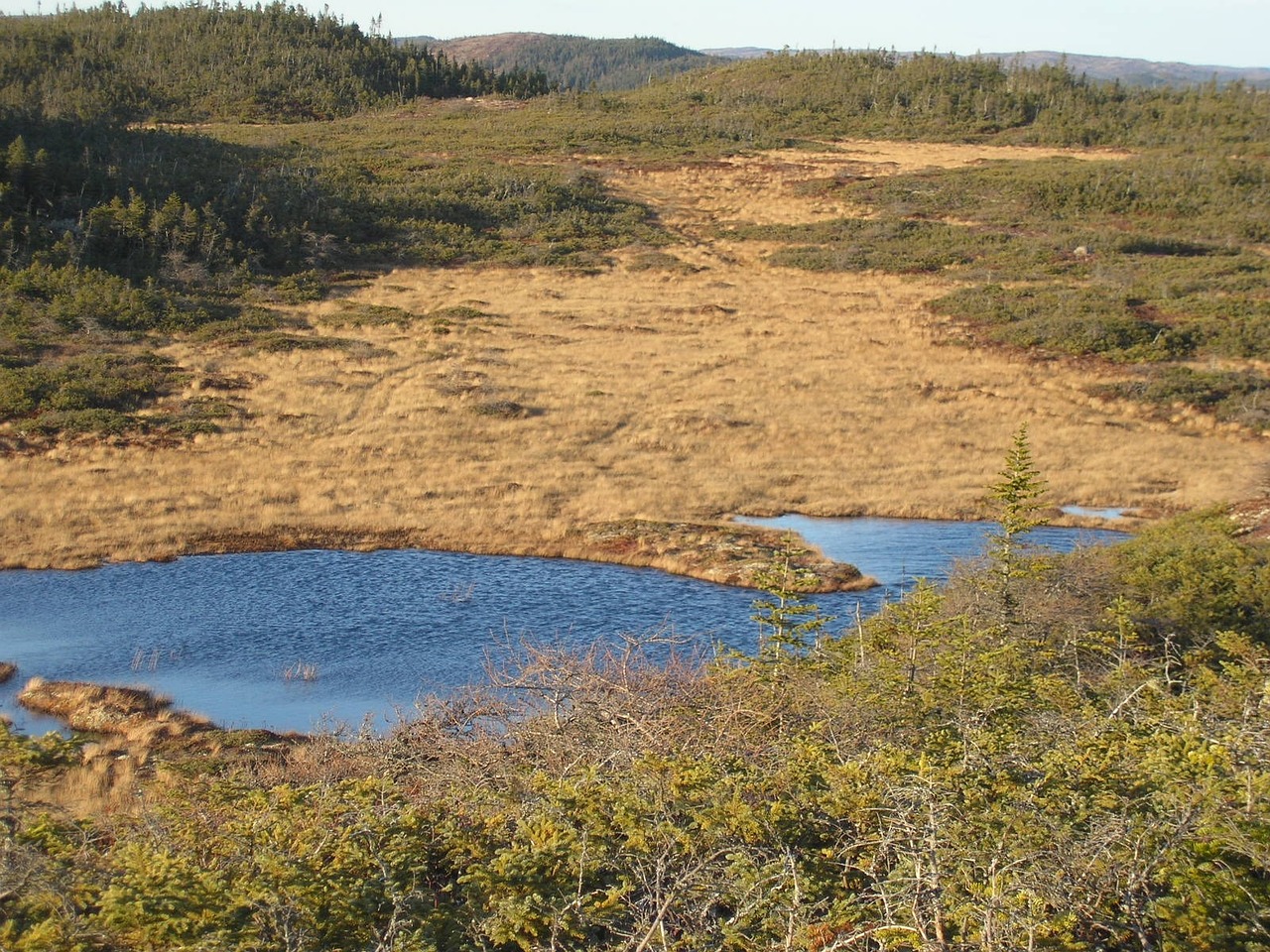湖州環(huán)保深化檢查，共建綠色家園，環(huán)境治理再升級(jí)