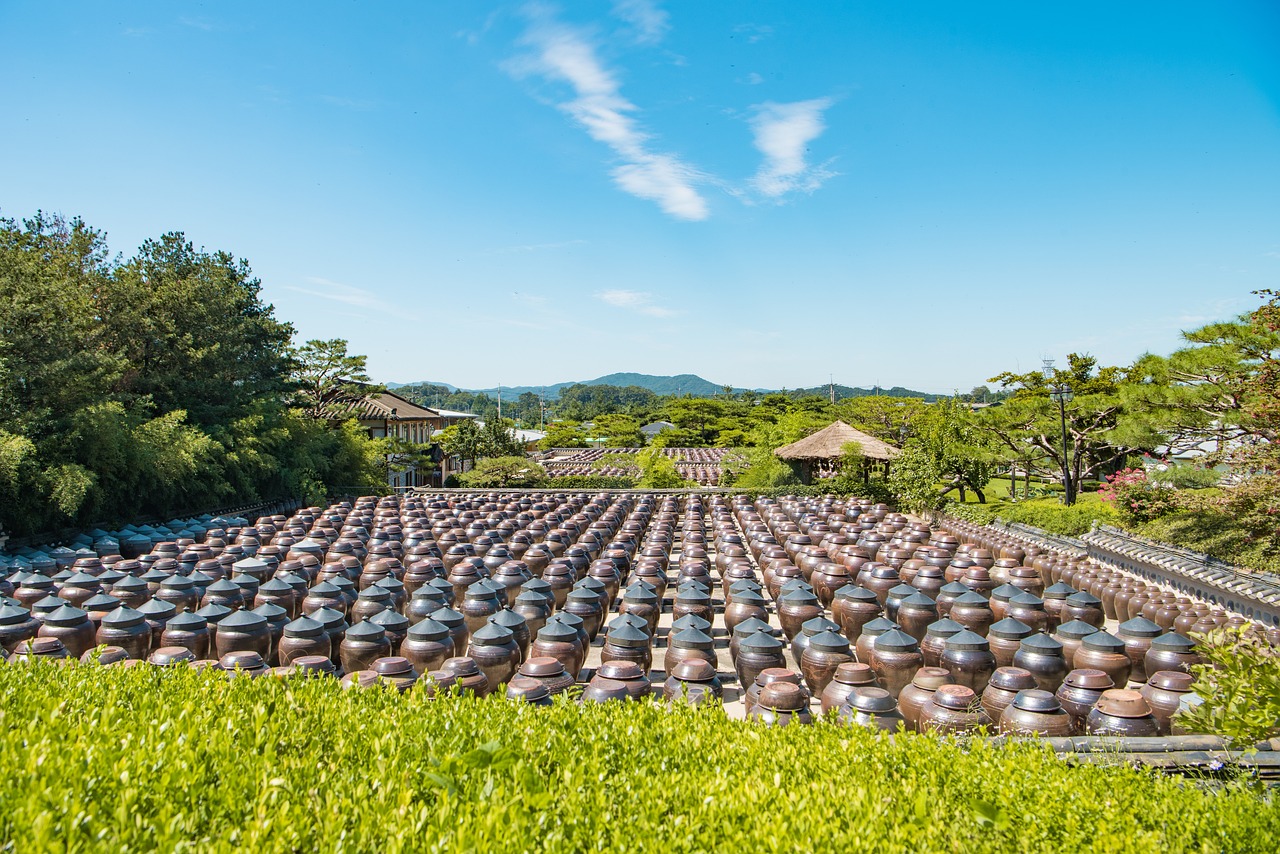 最新畢節(jié)農(nóng)村道場的發(fā)展與變遷概述