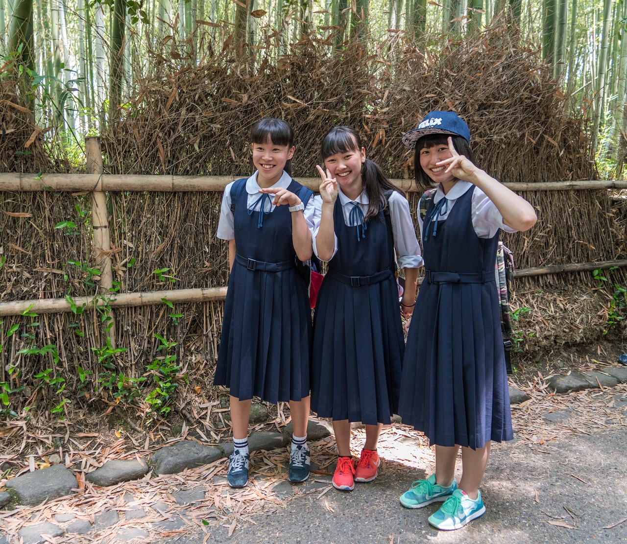 T大最新小說(shuō)，青春色彩與探索之旅