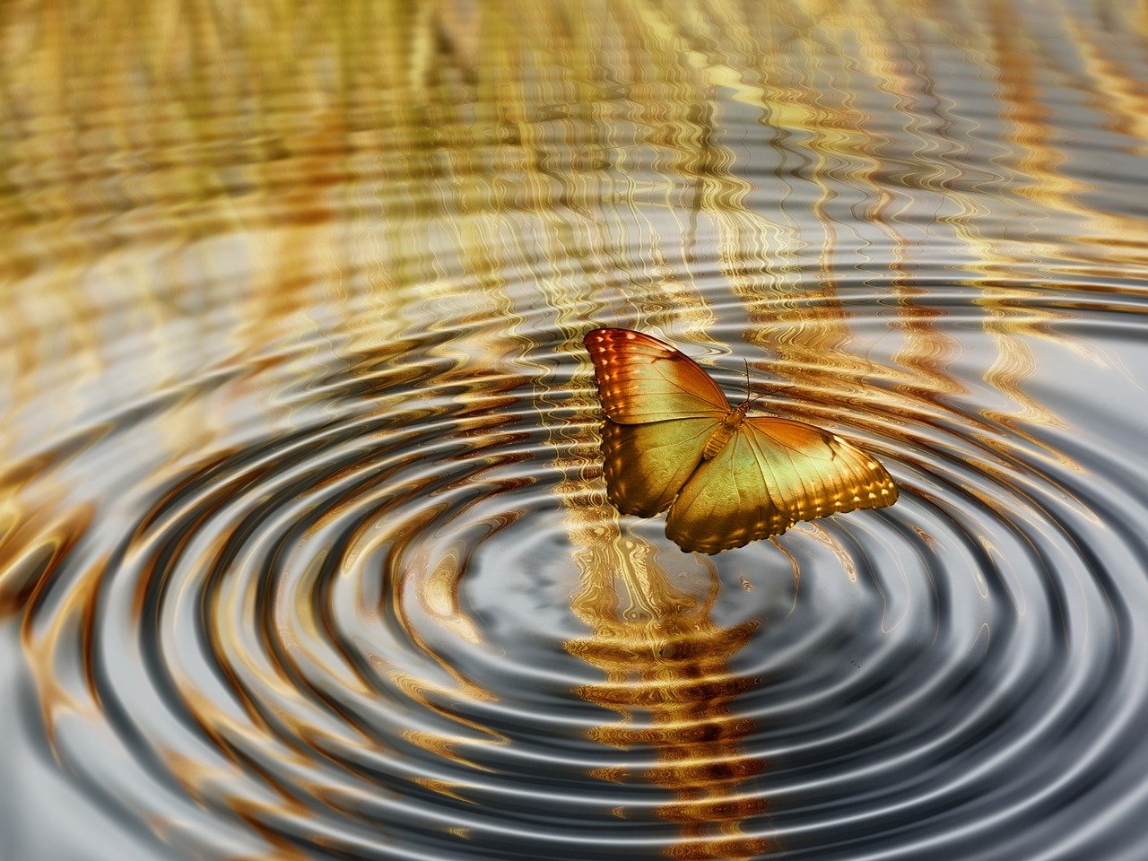 探索人生韻律與意義的最新篇章，春秋人生之重合