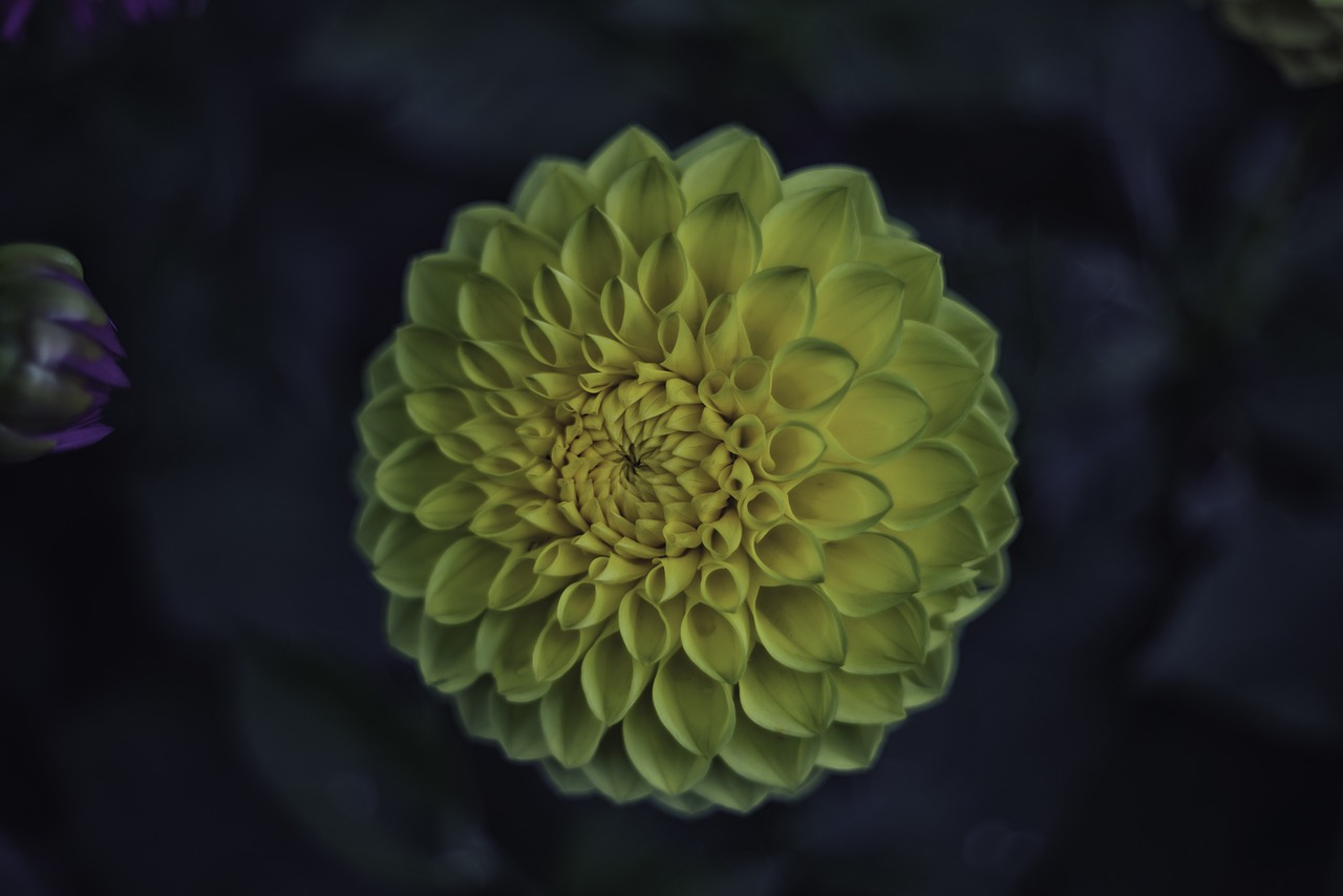 舟山最新發(fā)展動(dòng)態(tài)與亮點(diǎn)，新聞報(bào)道與發(fā)展概述