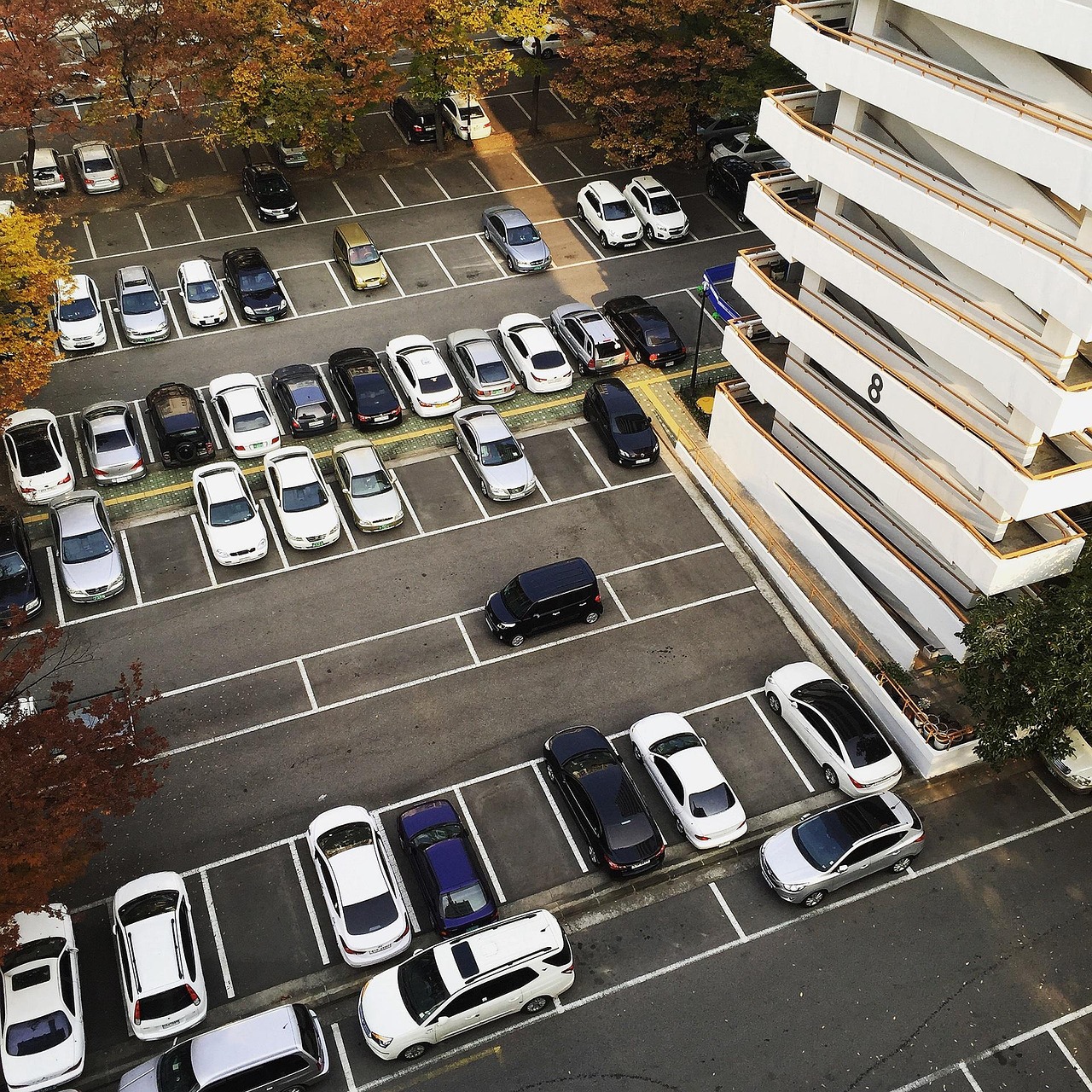 最新倒車入庫視頻講解，輕松掌握技巧，應(yīng)對停車挑戰(zhàn)