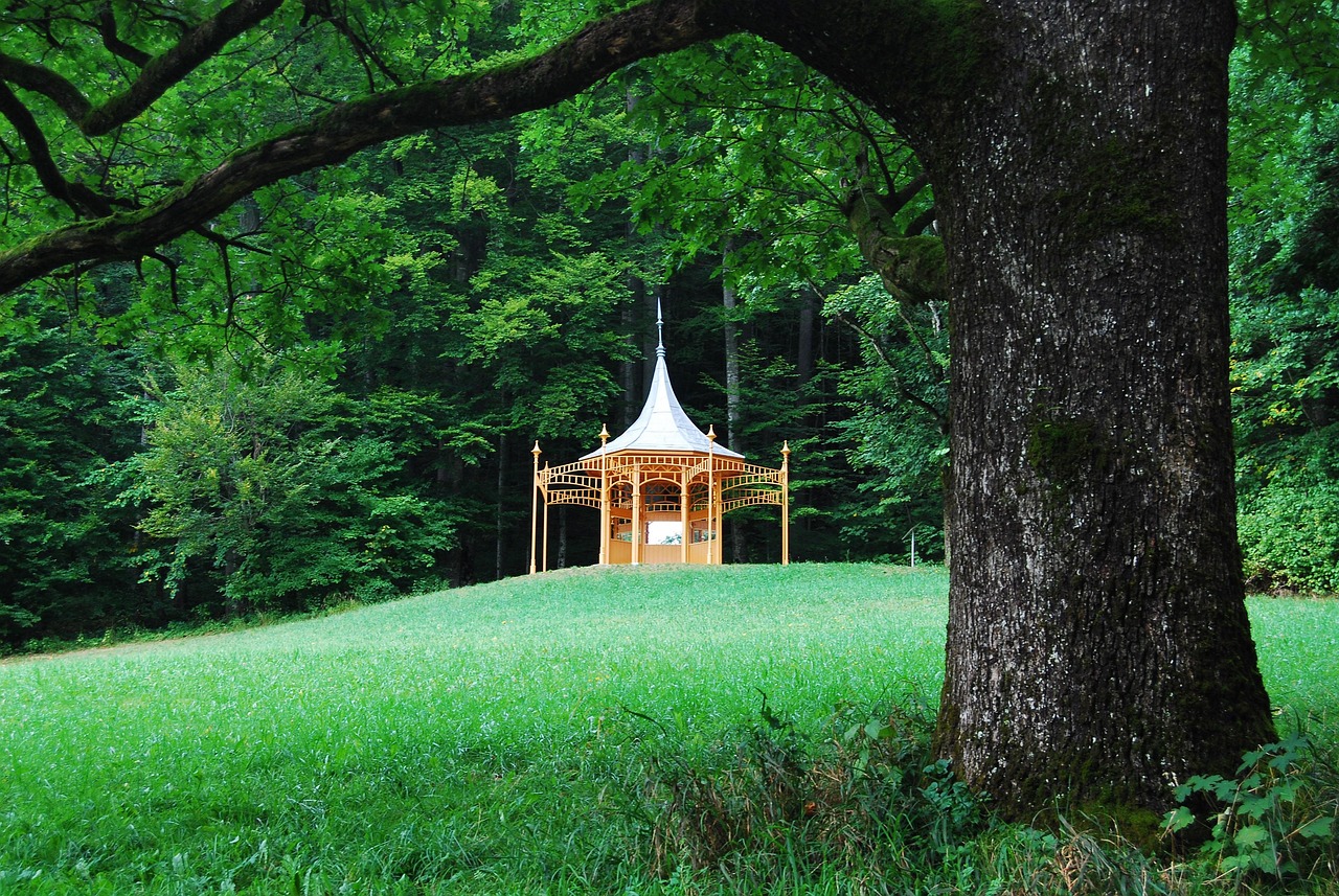 綿竹城北濕地公園最新發(fā)展及魅力展現(xiàn)概述