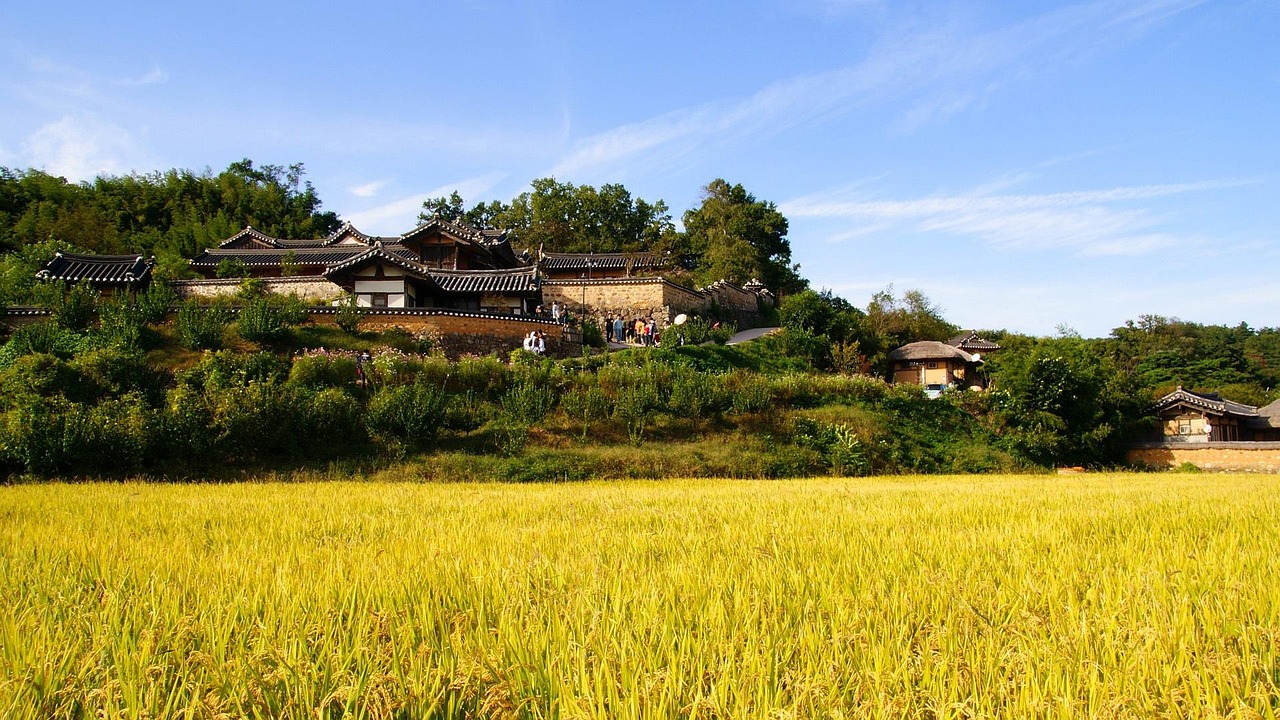 最新成都鄉(xiāng)鎮(zhèn)趕場(chǎng)日期揭秘，鄉(xiāng)村集市之美探尋