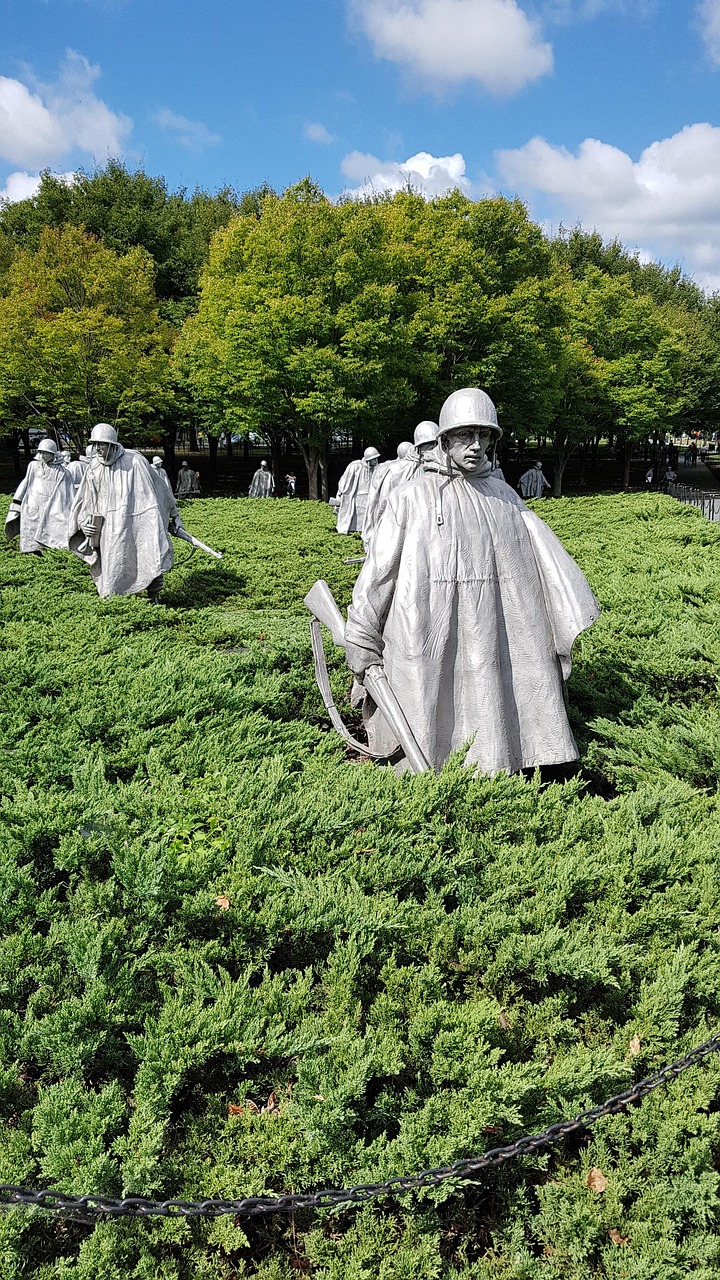 濱州退役士兵安置最新動態(tài)更新，安置情況概覽
