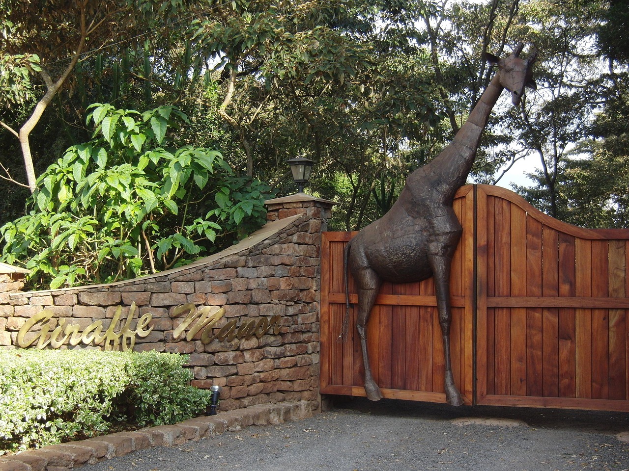 龍巖東山濕地公園最新進(jìn)展及魅力展現(xiàn)
