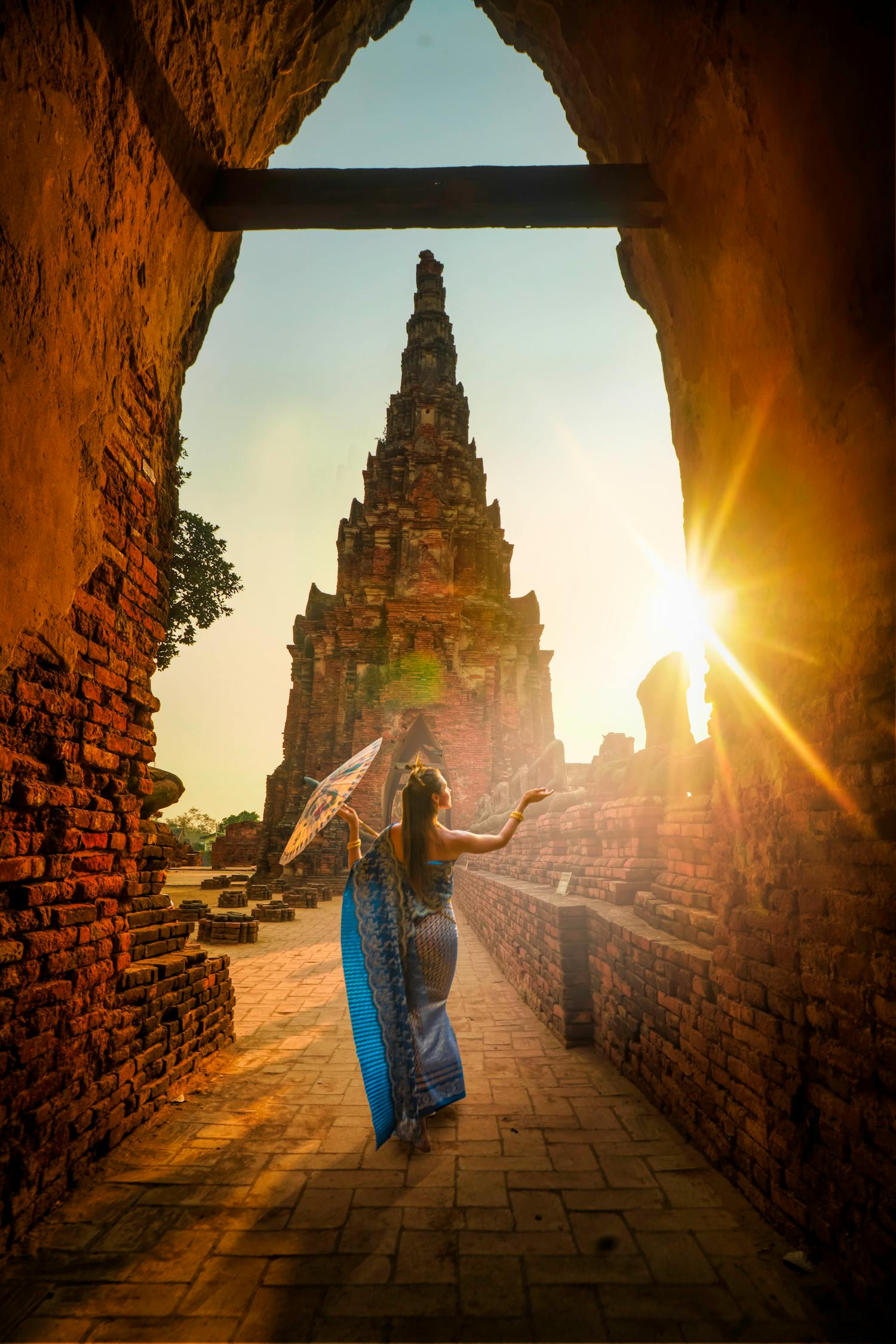 探索未知世界的奇妙之旅，最新動漫八達(dá)