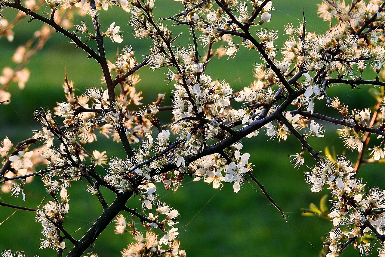 蘭州職教園區(qū)蓬勃發(fā)展與創(chuàng)新未來(lái)動(dòng)態(tài)更新