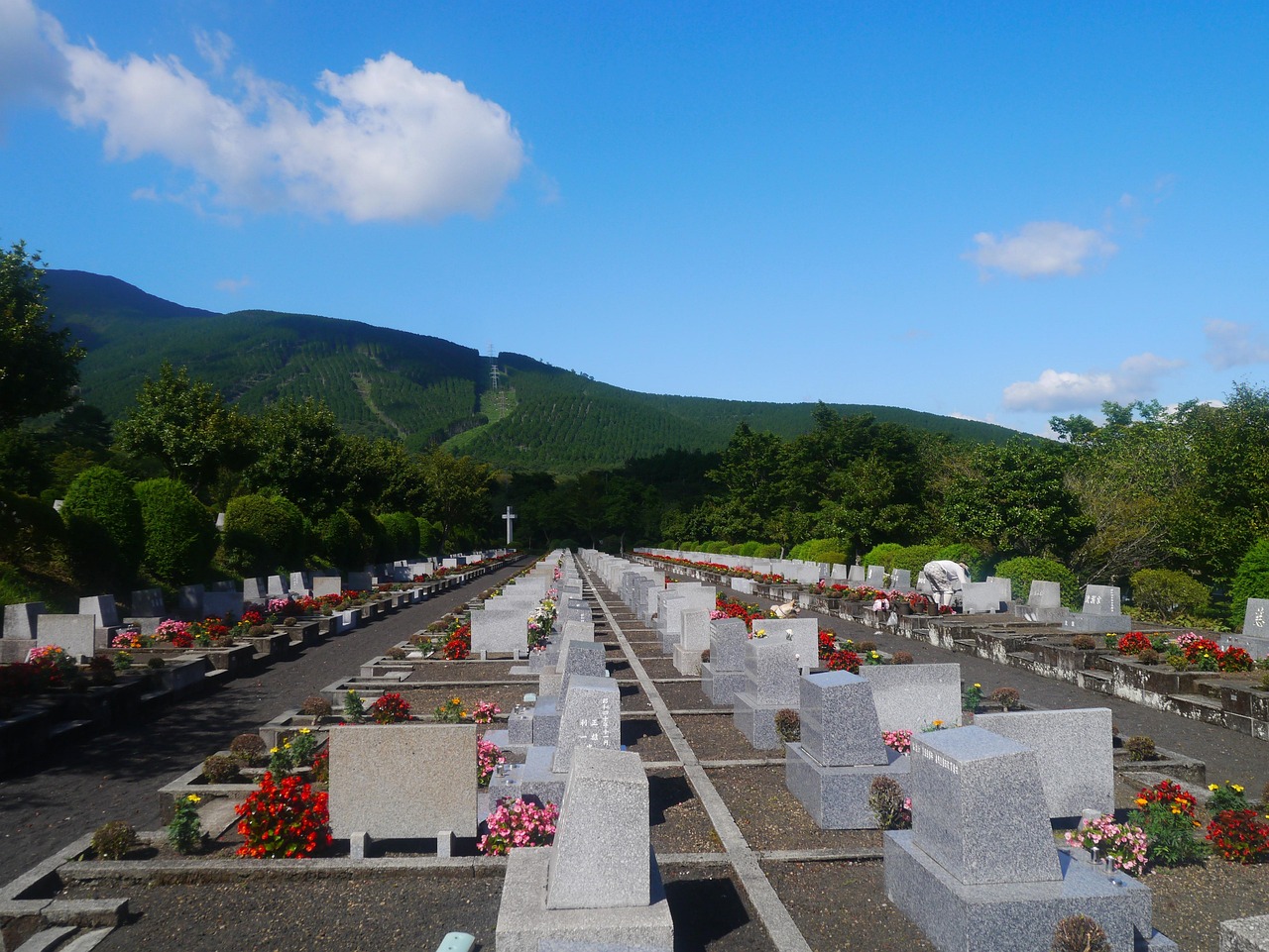 遂溪山湖海生態(tài)發(fā)展新篇章，最新動(dòng)態(tài)與人居環(huán)境改善新篇章