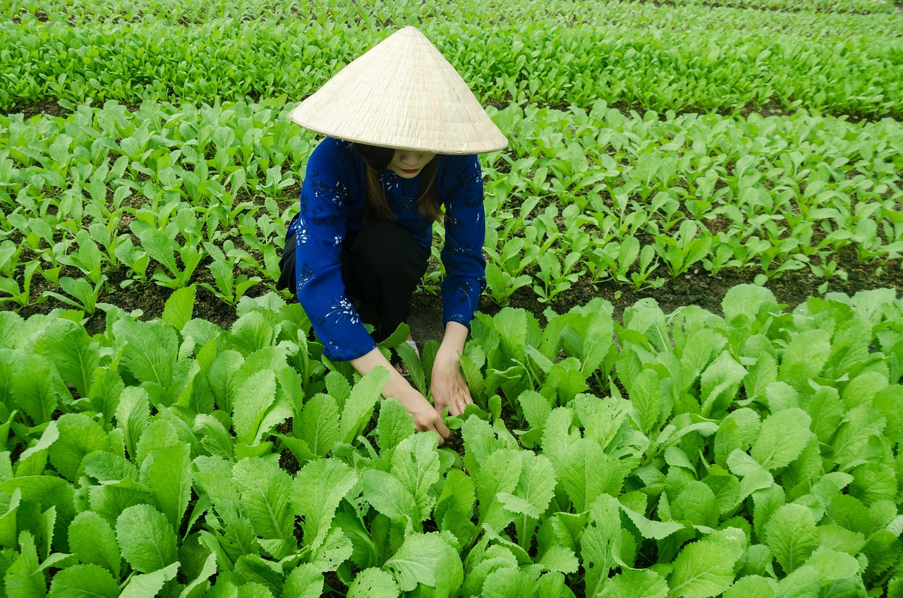 鹽山發(fā)展與變化的最新動(dòng)態(tài)全面解讀
