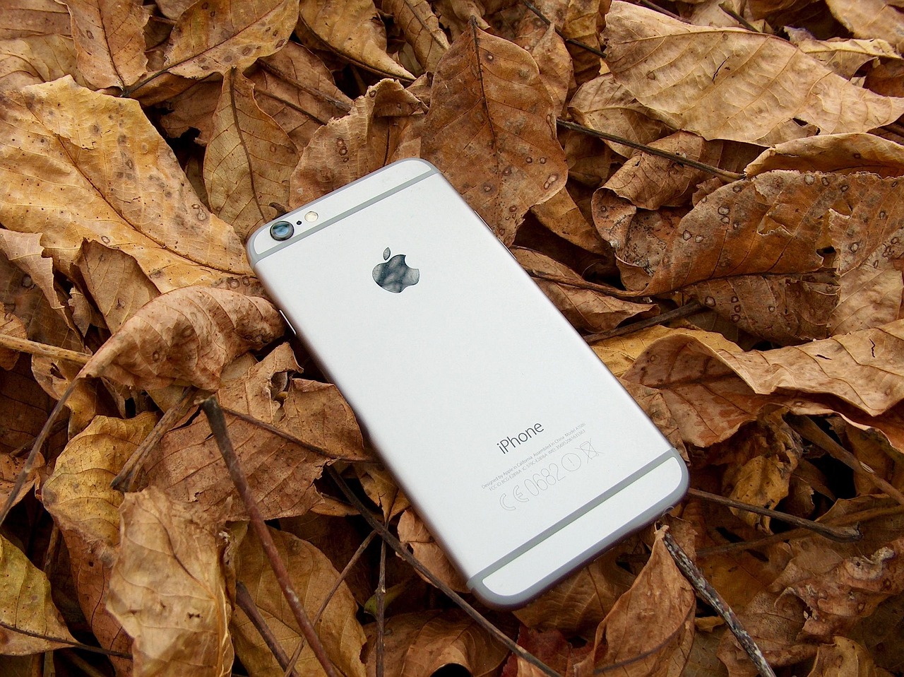 蘋果iPhone 5最新水貨報(bào)價及市場分析綜述