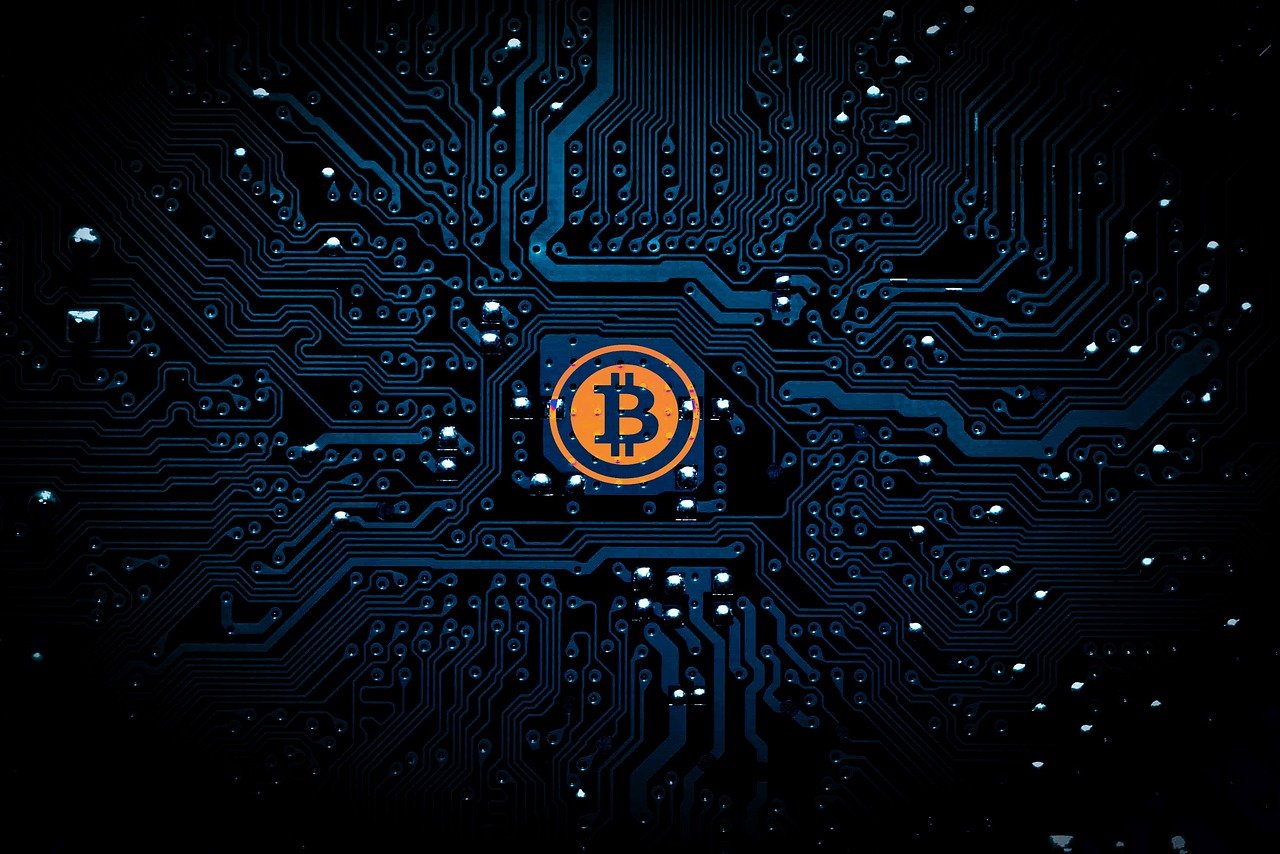 探索虛擬世界的樂園，最新宅男頻道網(wǎng)址分享