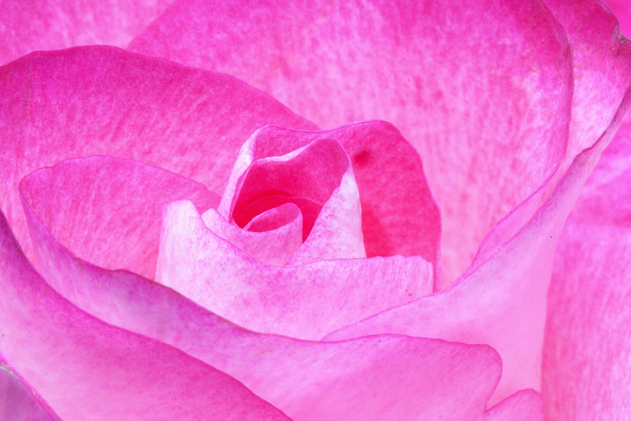 三月粉色芙蓉石價格解析及圖片展示