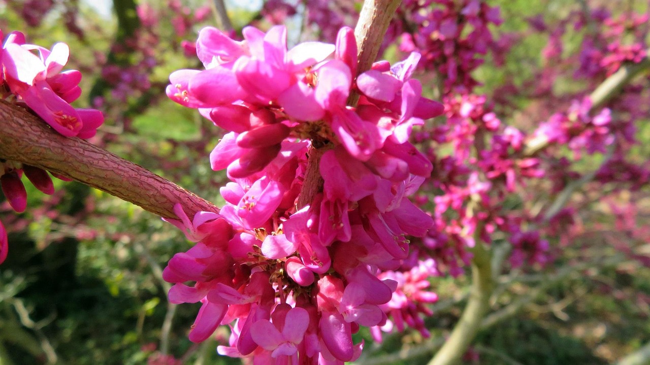 百麗國(guó)際三月春風(fēng)里綻放資本市場(chǎng)花朵，成功上市之路