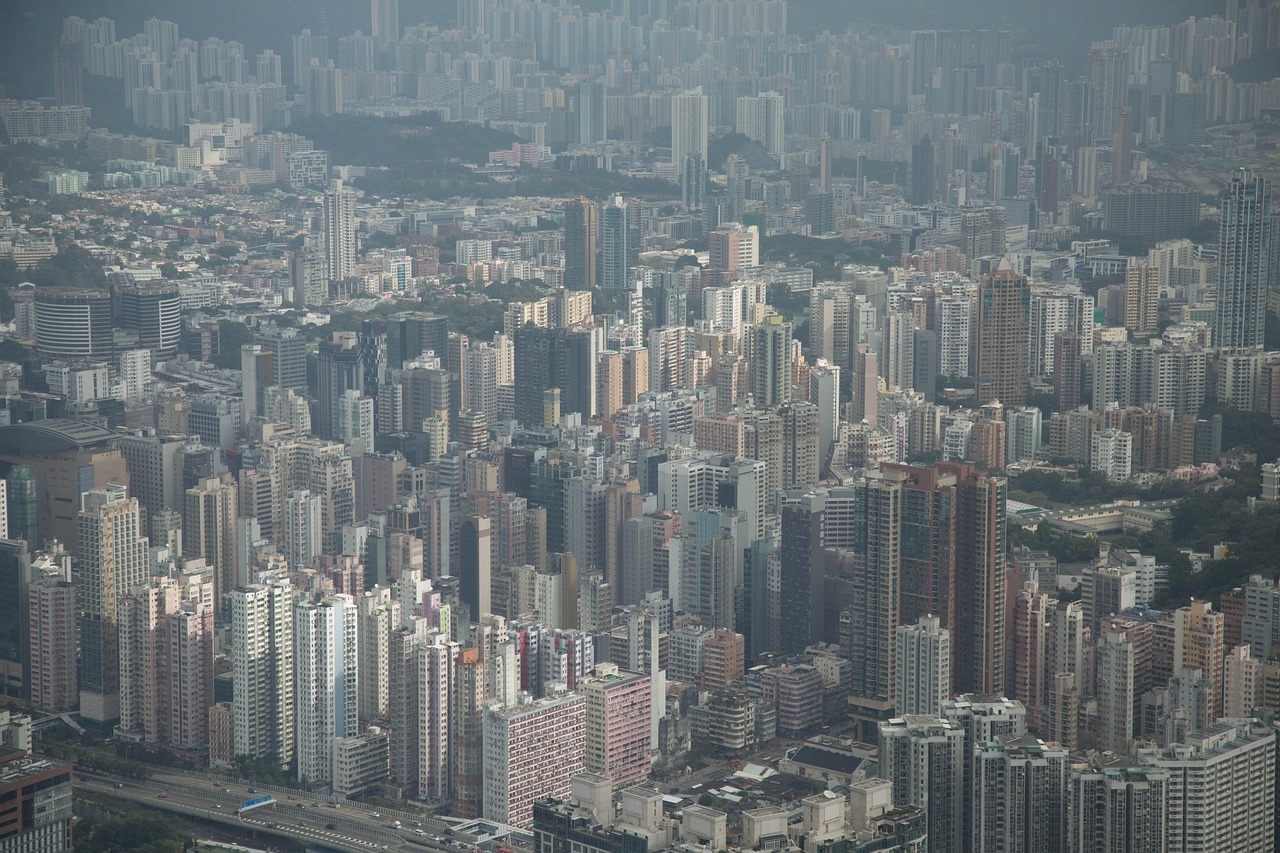 2025年兔市最新行情分析與市場(chǎng)展望