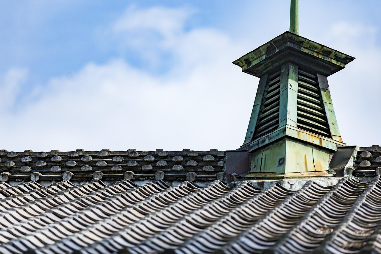烏海林濤四月新動態(tài)，自然美景與生態(tài)保護的新篇章揭秘
