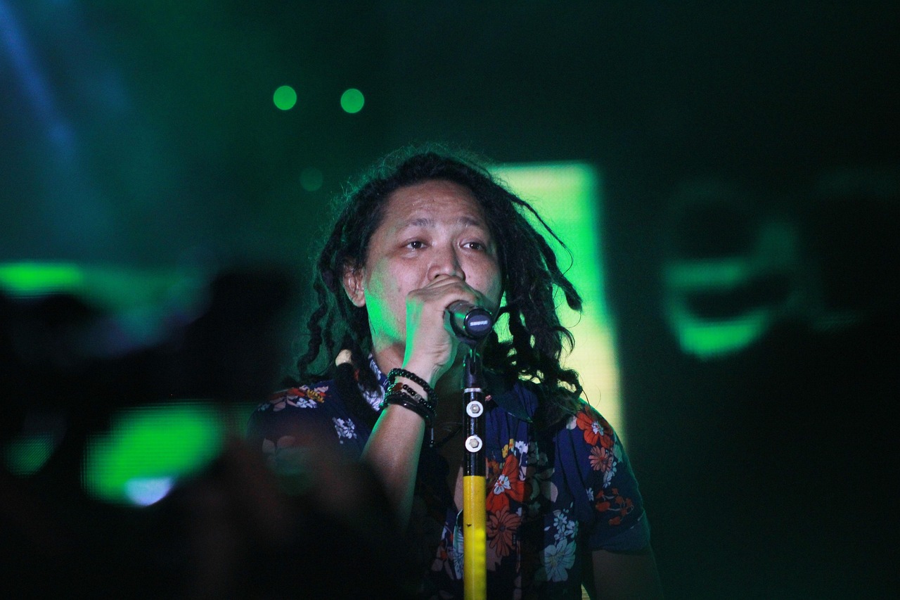 惠敏莉新歌片段，五月之歌的獨(dú)特魅力與細(xì)膩情感