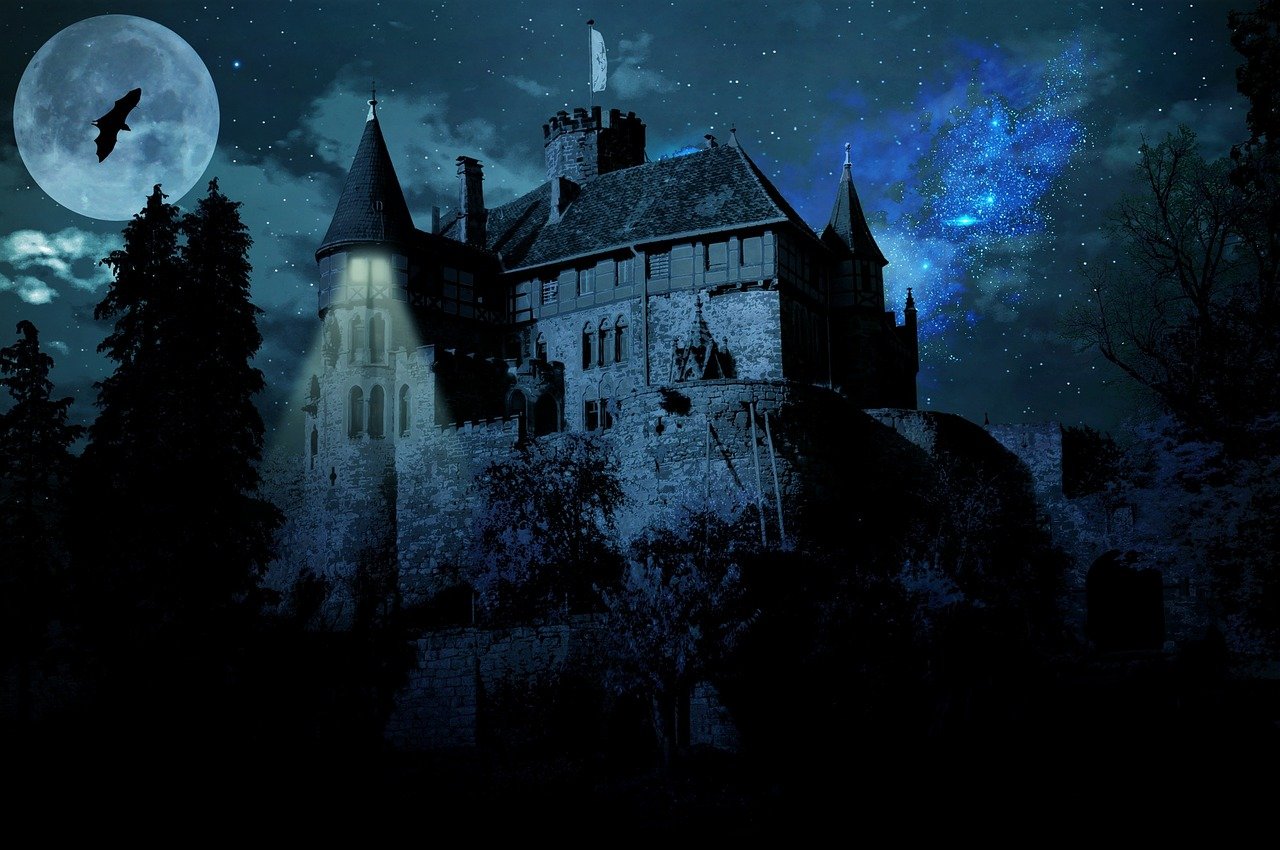 五月明星臥底揭秘，星光熠熠的神秘之旅體驗(yàn)