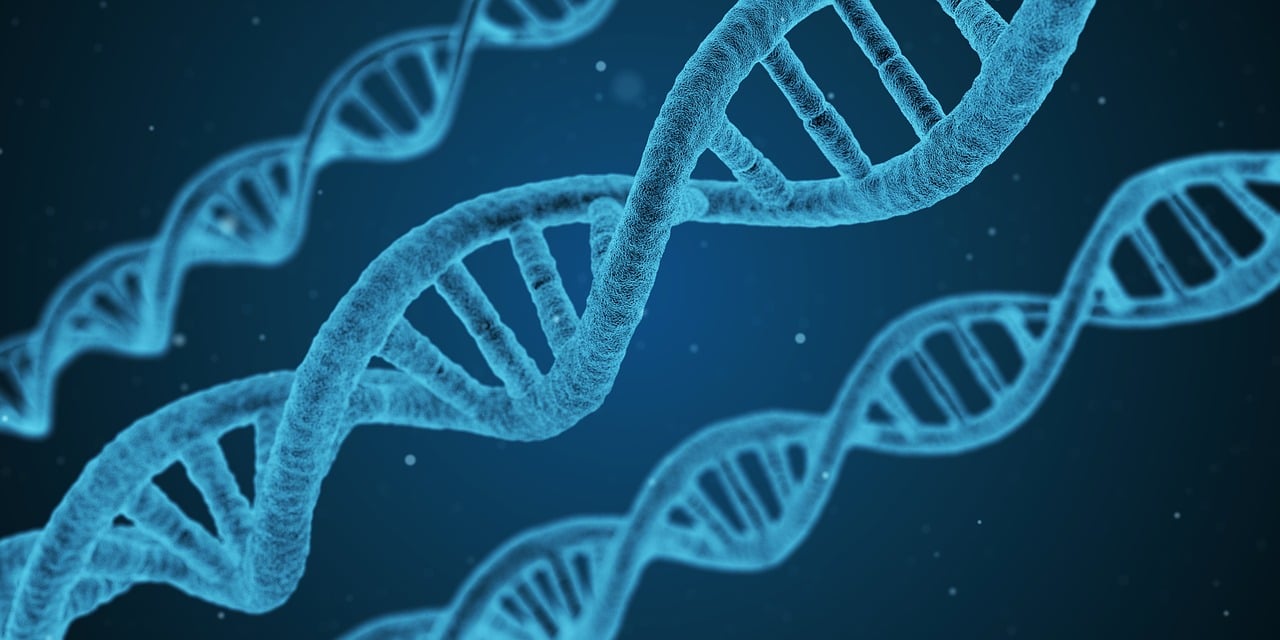 五月最新腎糖閾值研究，糖尿病防治的新視角