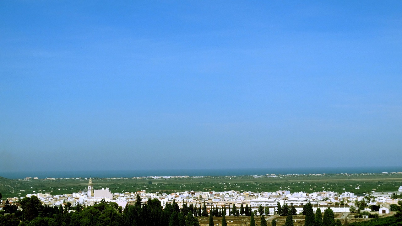 五月啤酒市場動態(tài)，價(jià)格走勢分析與市場聚焦