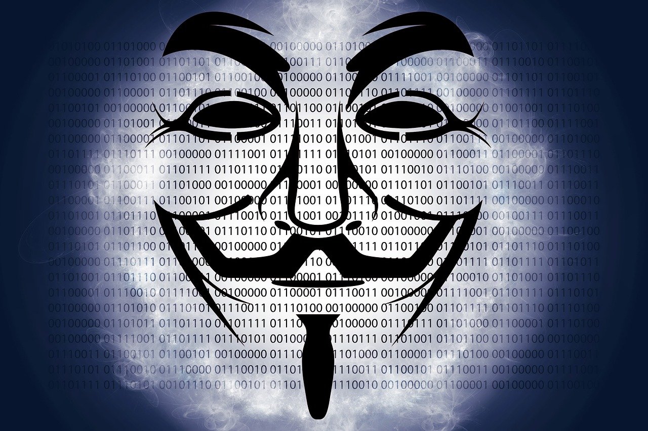 五月深度解析，火影最新揭秘之動(dòng)向與秘密大解密